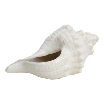 LVD Decorative Shell Conoch Home Room Decor - Rustic Ivory