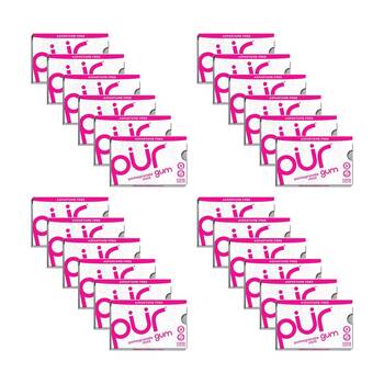 24x 9pc Pur Pomegranate Mint Flavour Sugar Free Chewing Gum 12.6g