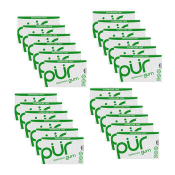 24x 9pc Pur Spearmint Flavour Aspartame & Sugar Free Chewing Gum 12.6g