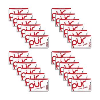 24x 9pc Pur Cinnamon Flavour Aspartame & Sugar Free Chewing Gum 12.6g