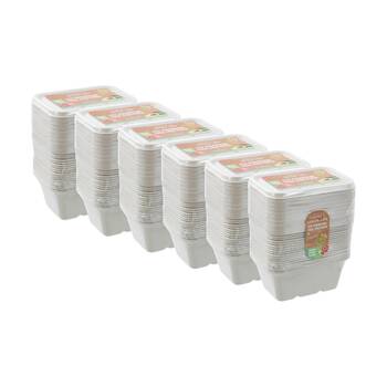6x 20pc Lemon And Lime Eco Sugarcane Food Container Set 1L Capacity Assorted