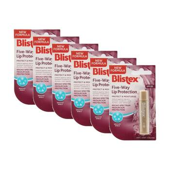6PK Blistex Lip Protection Five Way Protect Moisturise SPF20 4.25g