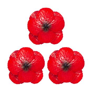 3PK Small Decorative Garden Wall Poppy Flower Ornament W/ Hook Red