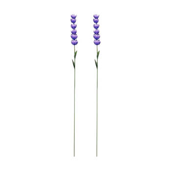 2PK Delphinium Short Decorative Powder Coated Metal Garden Stake Colourful
