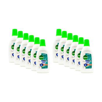 12PK Dettol Antibacterial Concentrated Laundry Sanitiser 750ml Eucalyptus
