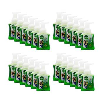 24PK Dettol Antibacterial Gentle On Skin Hand Wash 250ml Colour Foaming