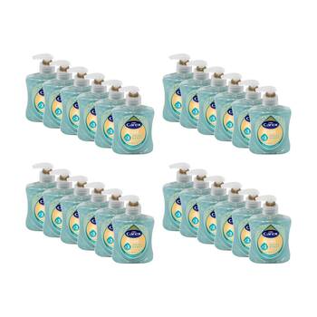 24PK Carex Hand Wash Antibacterial Advanced Care Sea Minerals Pump Bottle 250mL