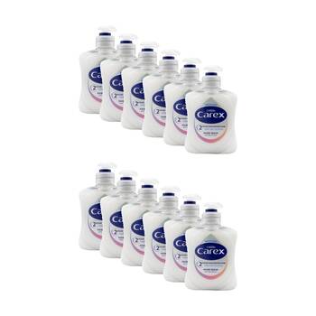 12PK Carex Hand Wash Antibacterial Moisture 2 Hour Skin Protection Pump 250mL