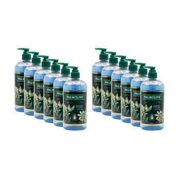 12PK Palmolive Luminous Oils Hand Wash Sea Fennel & Argan Oil 500ml