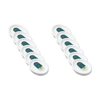 12x 30pc Lemon And Lime Sugarcane Oval Plate Compostable White 26x20cm