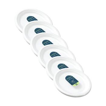 6x 10pc Lemon And Lime Sugarcane Oval Platter Compostable White 32x26cm