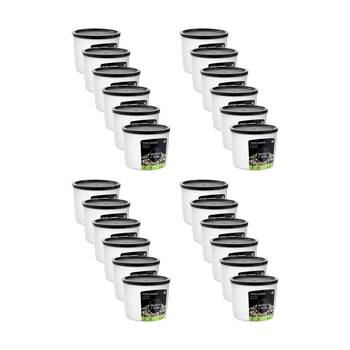 24PK Lemon And Lime Food Keeper Round Reusable Container 1.5L 15x15x12.3cm