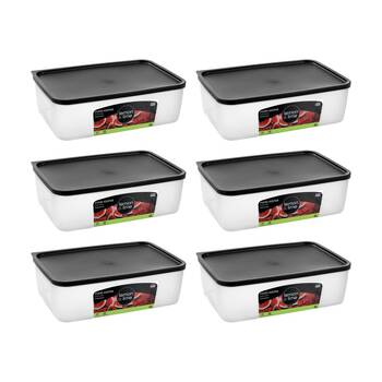6PK Lemon And Lime Food Keeper Rectangle Reusable Container 4L 29.8x20x9.3