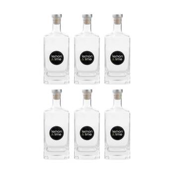 6PK Lemon And Lime Verre Square Glass Bottle Reusable Food Container 520ml