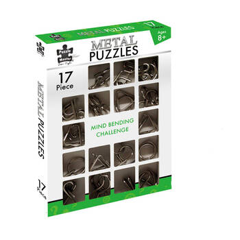 17pc Puzzle Master Metal Puzzles Brain Teasing Challenge Collection Set