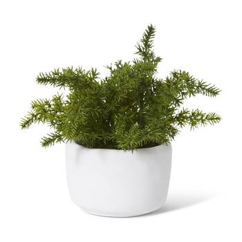 2PK E Style Fern Asparagus Artificial Plant Potted White Pot 18x18x20cm