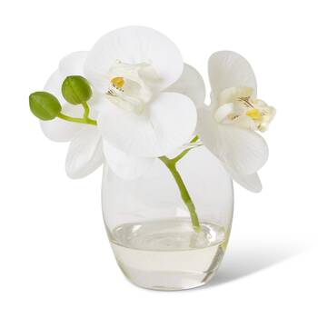 2PK E Style Phalaenopsis White Artificial Orchid Clear Vase 16x13x15cm