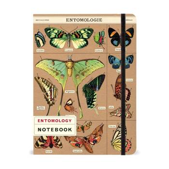 Cavallini Large Notebook Entomology Vintage Insect Illustrations 15.5x20cm