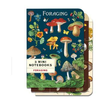 3pc Cavallini Notebook Mini Foraging Botanical Fungi Illustrations 10x14cm