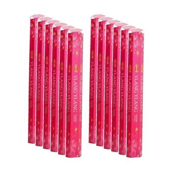 12PK HEM Home Fragrance Scented Smelling Incense Sticks Packet Set Ylang-Ylang