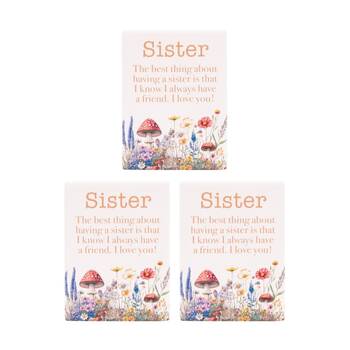 3PK Cottage Grove Sisters Ceramic Magnet Embossed Design Beige 6x8cm