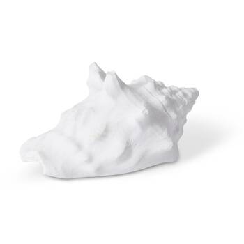 6PK E Style Shell Fighting Conch Costal White Decorative Sculpture 8x6x4cm