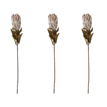 3PK E Style Protea Dried Look Stem Brown Artificial Floral Flower 12x12x61cm