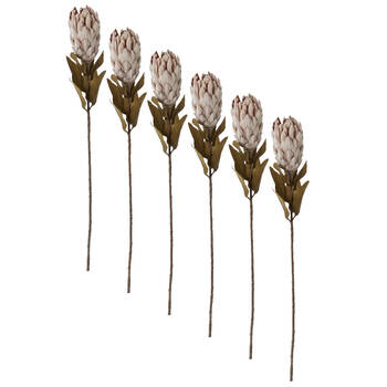 6PK E Style Protea Dried Look Stem Brown Artificial Floral Flower 12x12x61cm