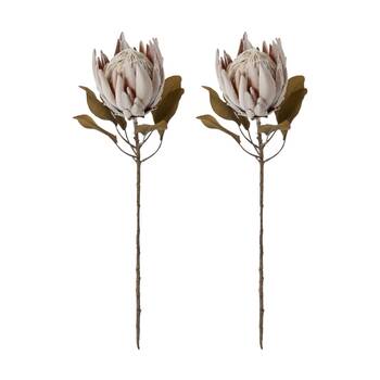 2PK E Style Protea King Dried Look Stem Brown Artificial Floral 25x25x61cm