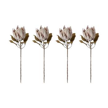 4PK E Style Protea King Dried Look Stem Brown Artificial Floral 25x25x61cm
