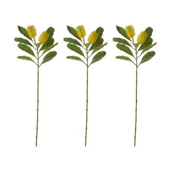 3PK E Style Banksia Spray Stem Artificial Flower Plant Yellow 14x5x76cm
