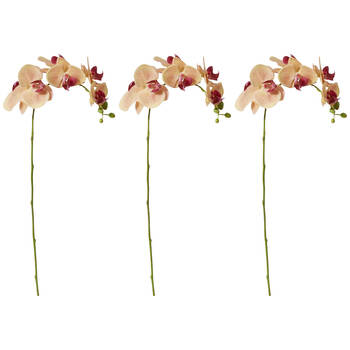 3PK E Style Phalaenopsis Orchid Stem Artificial Flower Apricot 25x10x55cm