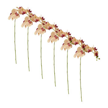 6PK E Style Phalaenopsis Orchid Stem Artificial Flower Apricot 25x10x55cm