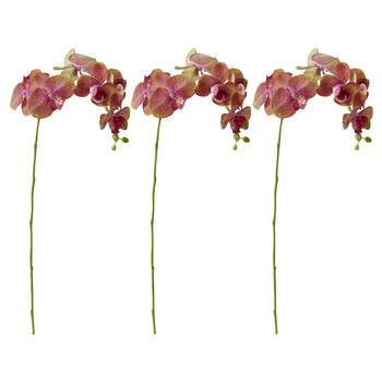 3PK E Style Phalaenopsis Orchid Stem Artificial Flower Green Burgundy 25x10x55cm