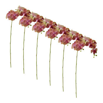 6PK E Style Phalaenopsis Orchid Stem Artificial Flower Green Burgundy 25x10x55cm