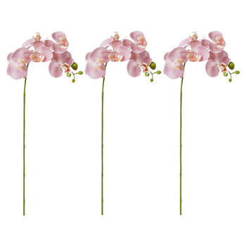 3PK E Style Phalaenopsis Orchid Stem Artificial Flower Pink 25x10x55cm