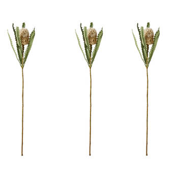 3PK E Style Banksia Plant Stem Durable Artificial Flower Beige 14x14x58cm