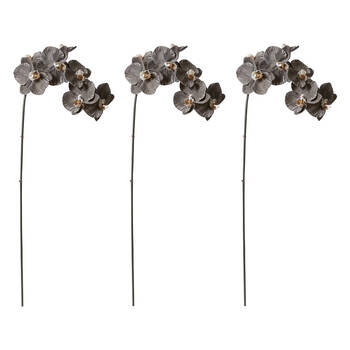 3PK E Style Phalaenopsis Orchid Stem Artificial Flower Black 20x8x95cm