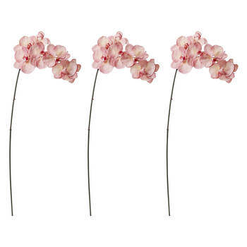 3PK E Style Phalaenopsis Orchid Stem Artificial Flower Pink 20x8x95cm