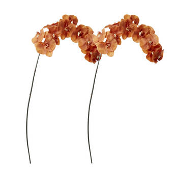 2PK E Style Phalaenopsis Orchid Stem Artificial Flower Rust 20x8x112cm