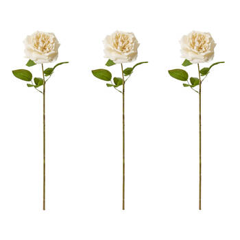 3PK E Style Rose Austin Stem Elegant Artificial Flower Champagne 22x14x66cm
