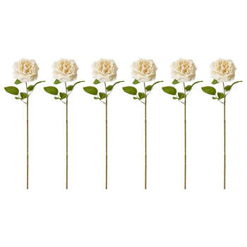 6PK E Style Rose Austin Stem Elegant Artificial Flower Champagne 22x14x66cm