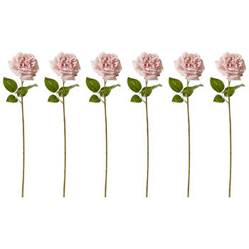 6PK E Style Rose Austin Stem Elegant Artificial Flower Dusty Pink 22x14x66cm