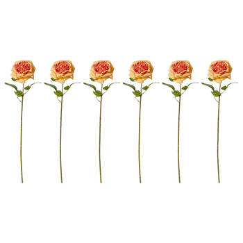 6PK E Style Rose Austin Stem Elegant Artificial Flower Orange 22x14x66cm