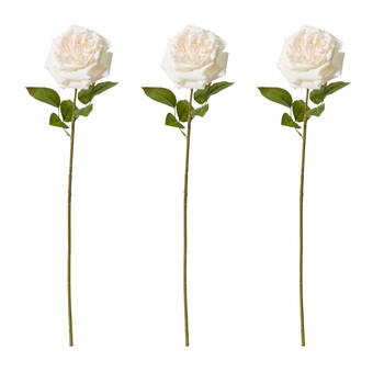 3PK E Style Rose Austin Stem Elegant Artificial Flower Pink Cream 22x14x66cm