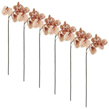 6PK E Style Phalaenopsis Orchid Mini Stem Artificial Flower Brown 14x7x51cm