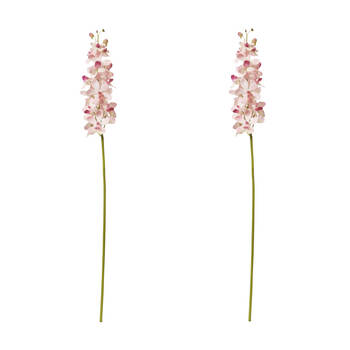 2PK E Style Orchid Vanda Stem Artificial Floral Decoration Pink 9x10x69cm