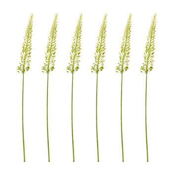 6PK E Style Foxtail Lily Mini Stem Artificial Flower Decoration Green 6x4x75cm