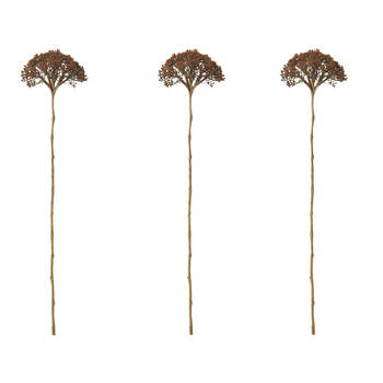 3PK E Style Queen Ann Lace Stem Artificial Flower Decoration Brown 12x11x53cm