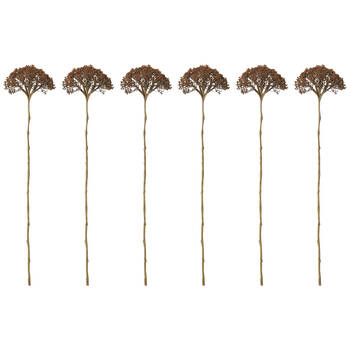 6PK E Style Queen Ann Lace Stem Artificial Flower Decoration Brown 12x11x53cm